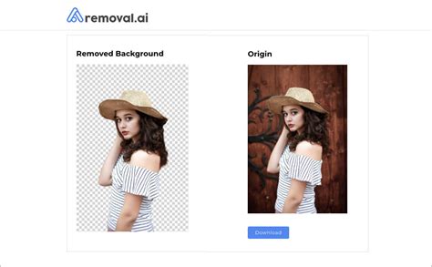 Free Image Background Remover .